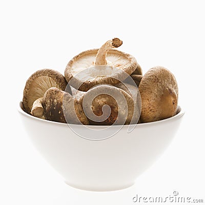 Bowlful of mushrooms. Stock Photo