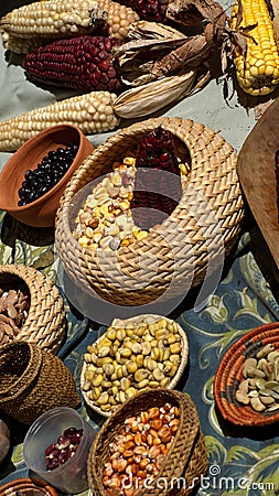 Bowls of colorful beans and corn kernels and ears of corn Stock Photo