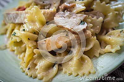 Bowtie Chicken Alfredo Stock Photo