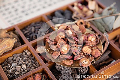 A box of all kinds of traditional Chinese medicine and dried hawthorn on the box Stock Photo