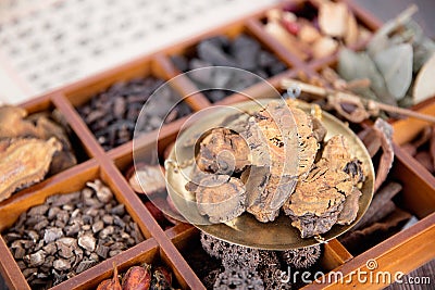 A box of all kinds of traditional Chinese medicine and rhubarb on the box Stock Photo