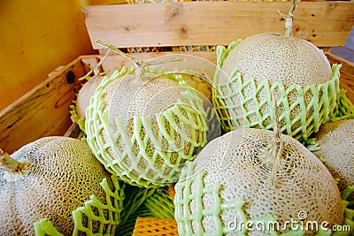Box of cantalope melons at the farmers market Stock Photo