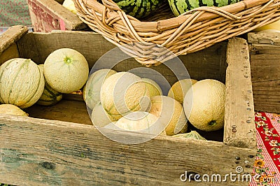 Box of cantalope melons at the market Stock Photo