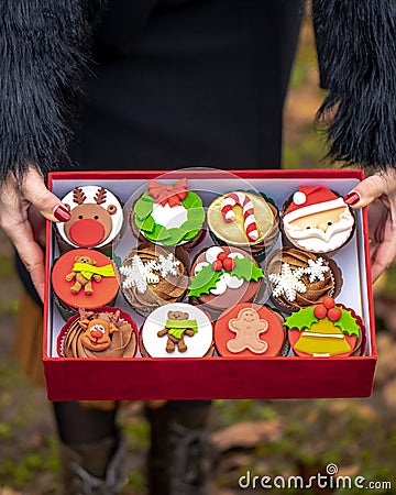 Box of colorful yummy Christmas cupcakes with different decorations Stock Photo