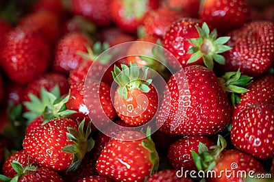 Box with french red ripe sweet strawberries Manon des Fraises, Fragaria ananassa harvested in Provence, France Stock Photo