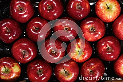 Box of fresh apples Stock Photo