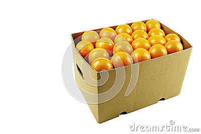 Box of juicy oranges Stock Photo