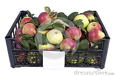 The box of red and green apples Stock Photo