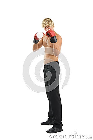Boxer. Stock Photo