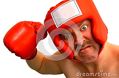 Boxer Stock Photo