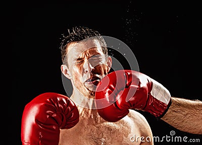 Boxer being hit Stock Photo