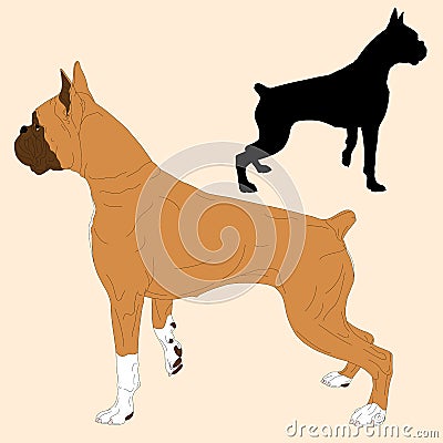 Boxer dog black silhouette realistic Vector Illustration