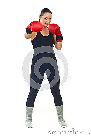 Boxer female Stock Photo