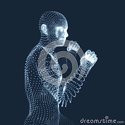 Boxer. Fighting Man. 3D Model of Man. Human Body Model Vector Illustration