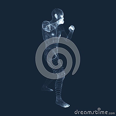 Boxer. Fighting Man. 3D Model of Man. Human Body Model Vector Illustration