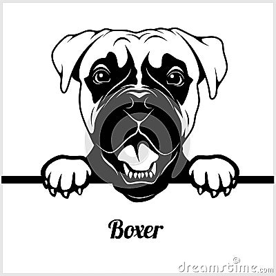 Boxer - Peeking Dogs - - breed face head isolated on white Vector Illustration
