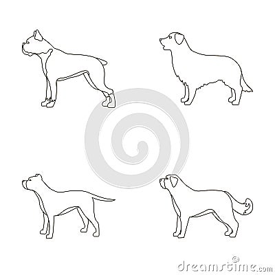 Boxer, pit bull, St. Bernard, retriever.Dog breeds set collection icons in outline style vector symbol stock Vector Illustration