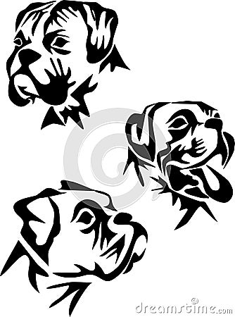 Boxer Vector Illustration