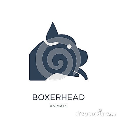 boxerhead icon in trendy design style. boxerhead icon isolated on white background. boxerhead vector icon simple and modern flat Stock Photo