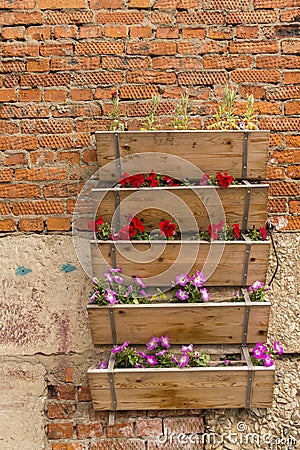 Boxes with garden flowers Stock Photo