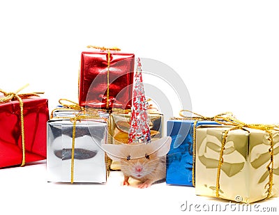 Boxes of gifts and mousy Stock Photo