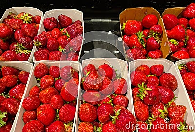 boxes of red strawberries in fruit section of a supermarket. Editorial Stock Photo