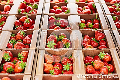 Boxes with ripe fresh strawberries close up Stock Photo