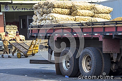 Boxes for the sale of potatoes, garlic and onions at CEAGESP Editorial Stock Photo