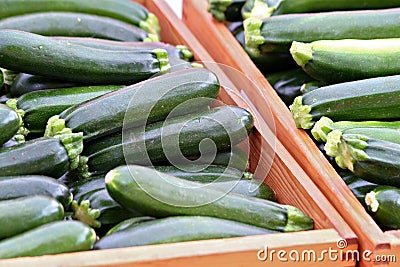 Boxes of Zucchini Stock Photo