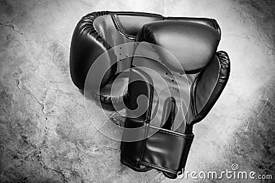 Boxing gloves Stock Photo