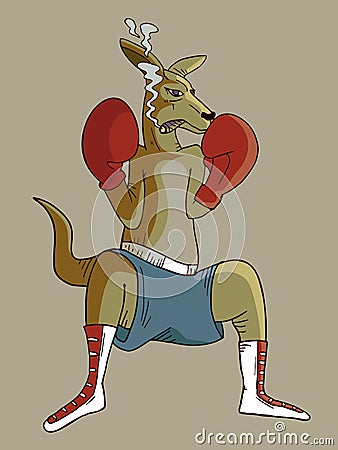 Boxing kangaroo Vector Illustration