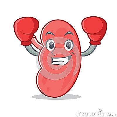 Boxing kidney character cartoon style Vector Illustration
