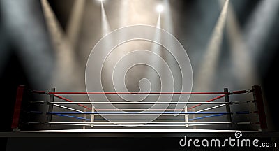 Boxing Ring Spotlit Dark Stock Photo