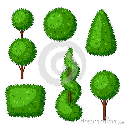 Boxwood topiary garden plants. Set of decorative trees Vector Illustration