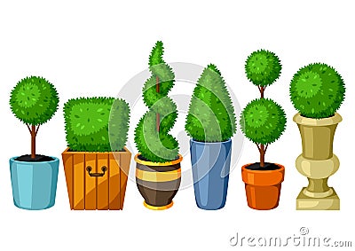 Boxwood topiary garden plants. Set of decorative trees in flowerpots Vector Illustration