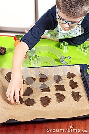 Boy arranges cut out cookie shapes on a baking tray. In the background, silicone coffee table and cookie cuttersB Stock Photo