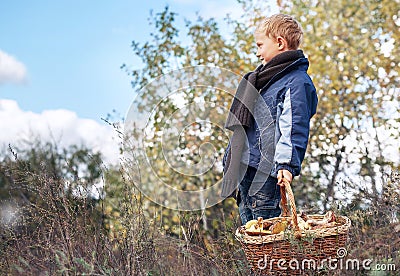 Boy in autumn forest with ful basket of mushrooms Stock Photo