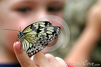 Boy with Butterfly Selective Focus Stock Photo