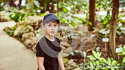 Boy in a cap in the summer outdoors in the Park Stock Photo