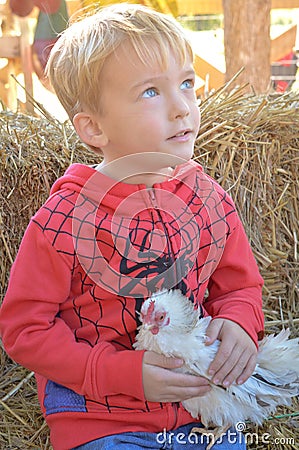 Boy With Chicken Stock Photo