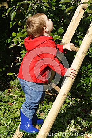 Boy Climbing Ladder Stock Photo