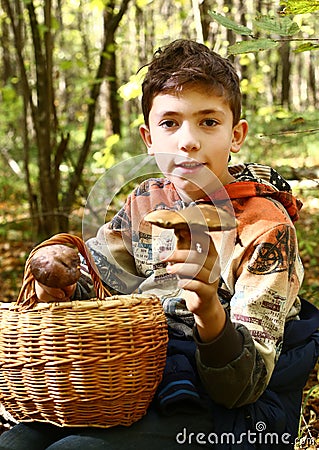 Boy collect mushrooms in the autumn forest Stock Photo