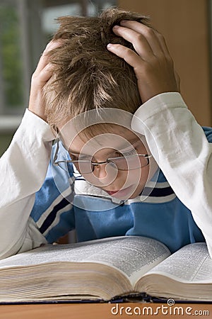 Boy is concentrated with reading Stock Photo