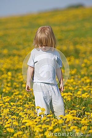 Boy in a dandelion field Stock Photo