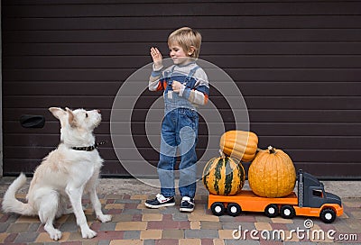 Boy in denim overalls and a knitted sweater plays with his dog, teaches his favorite pet commands Stock Photo