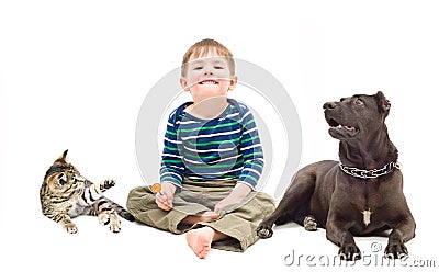 Boy, dog and kitten sitting together Stock Photo