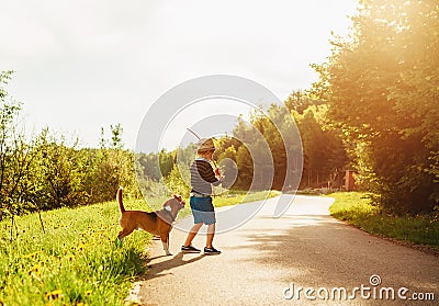 Boy and dog play together on countryside road at summer evening Stock Photo