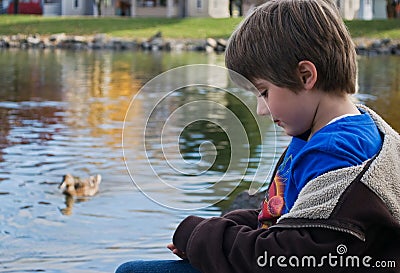 Boy at duck pond Stock Photo