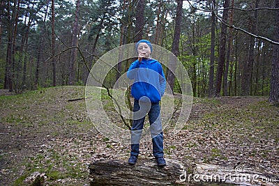 Boy eating chocolate in the forest,child alone in the woods eats chocolate standing on a steep fallen tree Stock Photo
