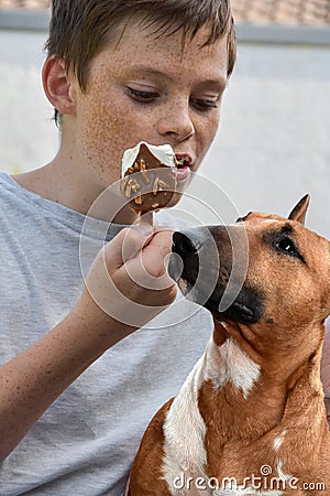 Boy eats icecream the dog hopes to get a little bit Stock Photo